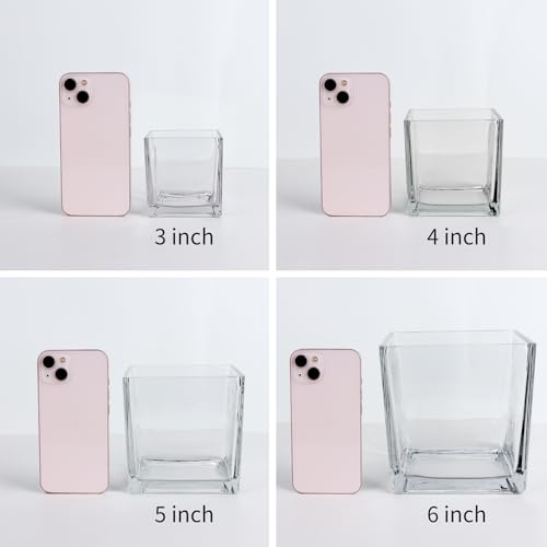 1 Pack Square Glass Vase 4" x 4" x 4", Clear Flower Vase for Centerpieces, Candle Holder for Wedding Party Events, Home Décor - size: 4inch