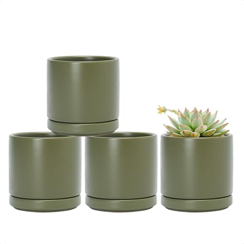 D'vine Dev Set of 4 Small Ceramic Plant Pots, 3.5 Inch Succulent Planter Pot for Plants with Drainage Hole and Saucer, Olive, 94-X-A-0 - color: Olive, size: 3.5 Inch
