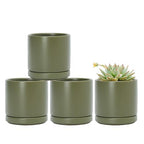 D'vine Dev Set of 4 Small Ceramic Plant Pots, 3.5 Inch Succulent Planter Pot for Plants with Drainage Hole and Saucer, Olive, 94-X-A-0 - color: Olive, size: 3.5 Inch