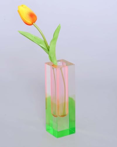 Acrylic Vase, Bud Vase for Centerpieces, Unique Eclectic Decor Cute Flowers Vases for Modern Home, Office, Bedroom, Living Room, Dining Table (Pink, Green) - color: Pink, Green