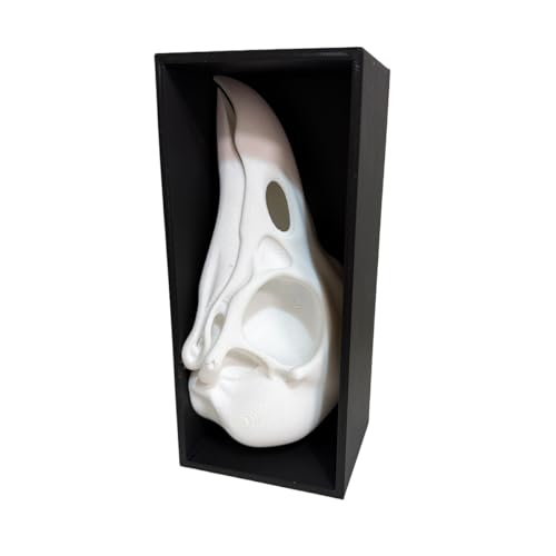 Raven Skull Book Nook Shelf Insert - Gothic Dark Academia Decor, Topographic 3D Raven Skull Bookend, Unique Mysterious Crow Skull Art for Bookshelf, Horror & Fantasy Gift for Book Lovers