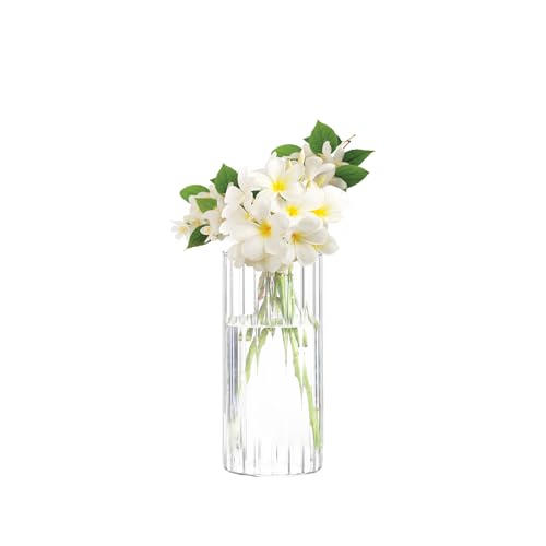 Gute 8 Inch Glass Vases for Decor, Flower Vase for Home Decor, Modern Decorative Clear Vase Centerpieces Living Room, Kitchen, Office Wedding or Gifts - size: 8inch