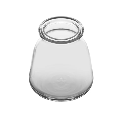 Elements Glass Milk Bottle Vase, for Use with Dried or Faux Flowers and Greenery, 4.2x4.2x4.72 Inch, Clear - size: 4.7 Inch