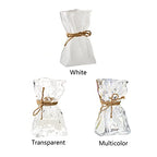 Irregular Shaped Vase for Flower, Unique Matte Glass Vase with Rope Crinkle Paper Design Hydroponic Art Flower Vase for Wedding, Dinning, Bookshelf, Home Decoration or Gift(Transparent)