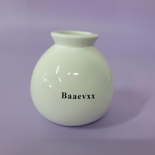 Baaevxx Flower Vases – Minimalist Design, Ideal for Home or Office Decoration