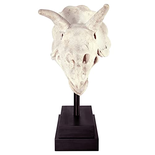 Design Toscano NE867039 Triceratops Dinosaur Skull Fossil Statue on Museum Mount,Multicolored - style: Triceratops Dinosaur Skull