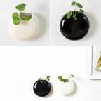 2 Pack Wall Hanging Planters, 4 Inch Round Ceramic Wall Mounted Planter Holder for Propagating Hydroponics Plants, Air Plants, Succulent (Plant NOT Included)