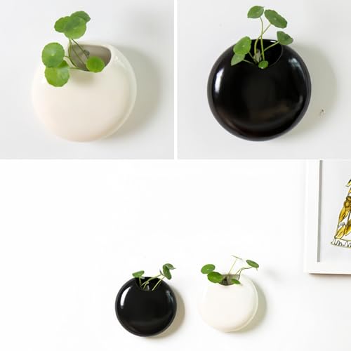 2 Pack Wall Hanging Planters, 4 Inch Round Ceramic Wall Mounted Planter Holder for Propagating Hydroponics Plants, Air Plants, Succulent (Plant NOT Included)