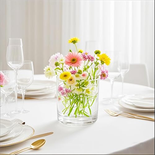 6" Wide 6" Tall Large Hand Blown Sturdy Clear Cylinder Glass Vase, Centerpiece Flower Vase for Rose, Tulip, Boquets, Hurricane Candle Holder (1, 6"x6") - size: 6"x6"