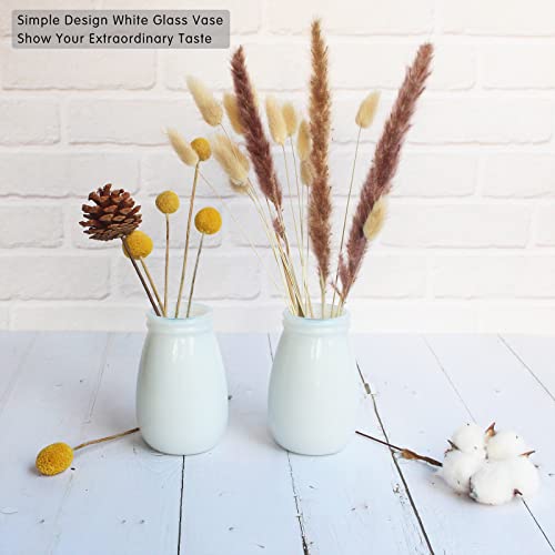 YANLING 6 Pack White Vase for Decor Ceramic Vase for Flowers, Small Bud Vases for Home Decor White Flower Vase, Boho Vases Dried Flowers Vases - color: White-d, size: 6 Pack-Small