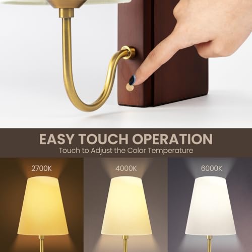 AELS Wooden Bookshelf Lamp with Bulb, Table Lamp with Linen Shade, 3-Color Dimmable Touch Control, Modern Decorative Bookend, Book Sconce for Office Home Bedroom Bookshelf, Dark Brown - color: Dark Brown, size: Plug-in Model
