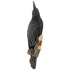 Design Toscano The Raven's Perch Gothic Decor Wall Sculpture, Single