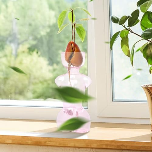 Propagation Vases for Plants Plant Propagation Jars Unique Body Avocado Vase Glass Planter Perfect for Seed Starting Water Rooting and Home Decor Gift for Father - color: Pink Green
