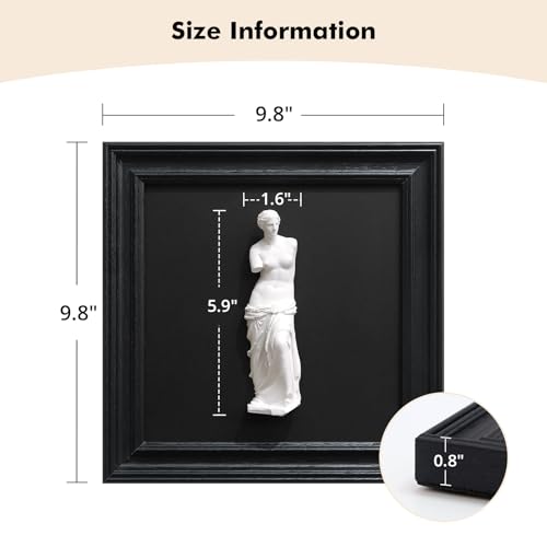 FOLKOR LIFE Framed Black and White Wall Art Sculpture Venus, Greek Roman Mythology Goddess Aphrodite Statue Framed Plaster Relief Wall Decor for Room, Hallway, Entryway, Housewarming, New Home Gift - color: Statue of Venus