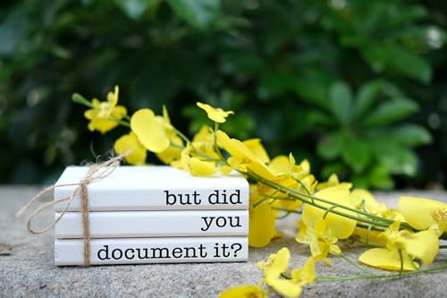 Funny Cute Office Desk Decor, Rustic Wooden Book Stack for Shelf Table Decoration - But Did You Document It Sign - color: But Did U