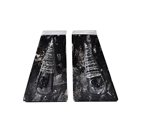 AMOYSTONE 1Pair Decorative Bookends for Shelves, Crystal Stone Bookends Natural Orthoceras Fossil Book Ends Trapezoid 4-5 LBS Height 4.7" - color: Black & White B, size: 4-5 Lbs