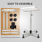 Salon Tray, Salon Color Tray with Adjustable Height, Metal Feet Tray on Wheels, Ideal Use As Tattoo Tray＆Dental Tray - color: Silver