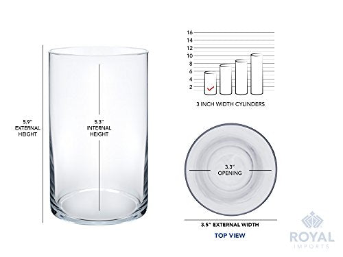 Royal Imports Flower Glass Vase Decorative Centerpiece for Home or Wedding - Cylinder Shape, 6" Tall, 3.5" Opening, Clear - size: 3" wide x 6" tall