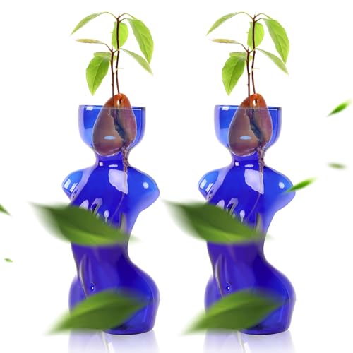 Propagation Vases for Plants Plant Propagation Jars Unique Body Avocado Vase Glass Planter Perfect for Seed Starting Water Rooting and Home Decor Gift for Father - color: Blue