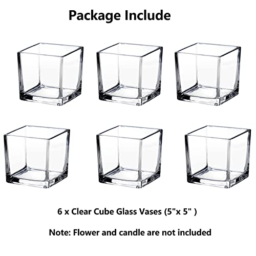 Square Glass Vases Set of 6 – Hewory 5"x5" Clear Cube Flower Vase Candle Holders for Wedding Centerpieces Home Decor Events Party Ceremony (Not Include Flower and Candle)