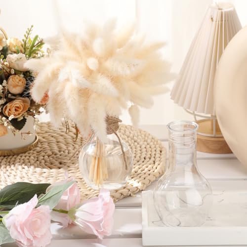 Bokon 12 Pcs Plastic Bud Vases in Bulk for Table Centerpieces, 4.7in Hyacinth Avocado Growing Bud Vase Bulk, Small Flower Bulb Plant Containers for Wedding Room Table Decorations (Mini Bulb Style) - style: Mini Bulb Style