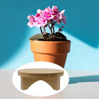 Oedema 6 Inch Indoor Plant Stand Round Solid Wood Flower Stand Mid Century Modern Plant Stand for Displaying, Small Plants, Desktop, Office & Home Decor - size: 6.02inch/153mm