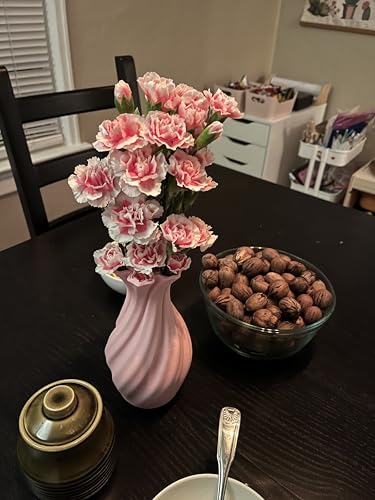 Large 8-Inch Tall Spiral Vase – Modern Waterproof Flower Vase for Centerpieces & Home Decor - 3D Printed PLA Plastic — Not Glass (Brown) - color: Brown