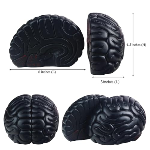 Brain Bookends, 6.5Inch Tall Brain Decorative Resin Book Shelf Organizers Book Holders Shelf Dividers Book Ends for Home or Office Shelves Brain Sculpture Bookend Set