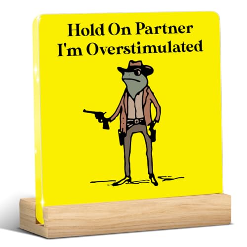 Funny Office Decor Funny Office Gifts Hold On Partner Im Overstimulated Sign Work Desk Decor Acrylic Humor Gifts for Women Men Coworker Friend Home Office Decorations - color: Hold On Partner I'm Overstimulated