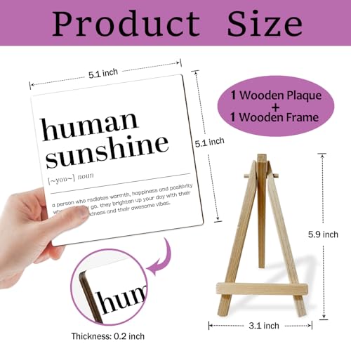 Home Office Decor, Human Sunshine Definition Desk Decor, Employee Appreciation Gifts, Admin Professionals Day Gifts, Teacher Mentor Gifts (MP09), Wood - color: MP09