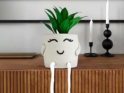 OLEEK small fake plants office decor - fake succulents plants artificial for desk decor - fake plant office decorations for work - office decor for women - office plants cubicle accessories room décor - size: Nancy (Set of 1)