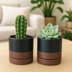 D'vine Dev Set of 2 Plants Pots, 4.7 Inch Ceramic Planter Pot for Plants with Drainage Hole and Saucer, Black/Speckled Tan, 94-V-B-7 - color: Black/Speckled Tan, size: 4.7 Inch