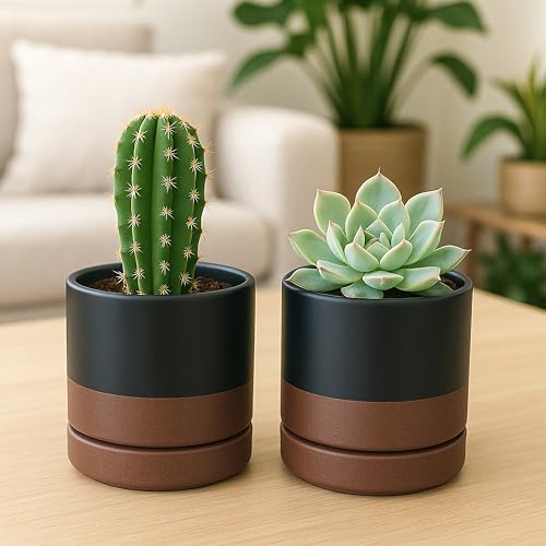 D'vine Dev Set of 2 Plants Pots, 4.7 Inch Ceramic Planter Pot for Plants with Drainage Hole and Saucer, Black/Speckled Tan, 94-V-B-7 - color: Black/Speckled Tan, size: 4.7 Inch