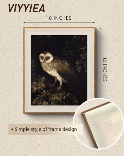 VIYYIEA Framed Wall Art for Living Room, Owl Canvas Prints, Vintage Home Decor, Animals Painting Picture, Bathroom Wall Decor Gifts for Friends or Family - 12L x 10W - color: Animals-【Owl】, size: 12"L x 10"W