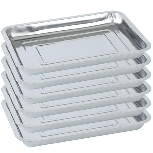 Plant Germination Trays, Stainless Steel Plant Trays Stainless Metal Trays Stainless Steel Seed Starter Carry Trays Nursery Seedling Pots Water Collection Transplantation (6PCS)