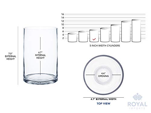 Royal Imports Flower Glass Vase Decorative Centerpiece for Home or Wedding - Cylinder Shape (5" Wide x 7" Tall, Clear) - size: 5" wide x 7" tall