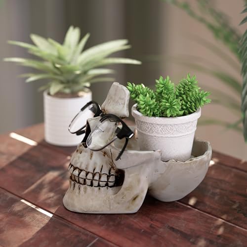 READAEER Skull Glasses Stand Holder, Creative Eyeglasses Holder, Sunglasses Spectacle Display Rack, Key Holder Resin Sculptures for Entryway, Home, Office, Desk, Nightstand (White) - color: White