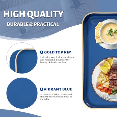 MAONAME 13" Navy Blue Decorative Tray, Serving Tray with Handles, Square Plastic Trays for Ottoman, Modern Coffee Table Trays for Living Room, Bathroom - color: Blue, size: 13" x 13" x 1.6"