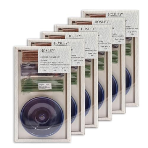 Hosley Incense Gift Set 6-Pack - Includes 60 Incense Sticks & Ceramic Holder - Ideal Bathroom Set for Meditation, Spa, or Relaxing Atmosphere - color: Blue-6d