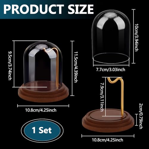 PH PandaHall Pocket Watch Display Dome Cloche with Hook 4.2"x4" Watch Display Jar Decorative Glass Display Case with Wood Base Plants Showcase for Watch Plants Medals Collectibles Ornaments - size: 4.2x4 Inch