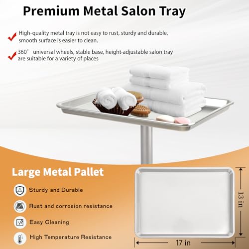 Salon Tray on Wheels, Rolling Tattoo Tray, Adjustable Hair Stylist Tray, Metal Mayo Stand Tray, Salon Color Tray Use As Medical Tray, No-Rusting - color: Silver