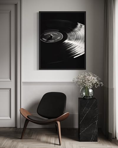 Vinyl Record Art Music Poster - Musical Instrumental Wall Art Print - Black and White - Photography Musical Art - Bedroom or Office Living Room Decor 137 (Vinyl Record, 11 x 14 inches, Unframed) - color: Vinyl Record, size: 14"L x 11"W
