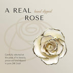 Forever Rose Hand-Dipped in 24K Gold, White Pearl-Inspired June Birthstone, Real Rose in Luxury Gold Gift Box & Clear Glass Bud Vase – Perfect Ready to Gift for June Birthday or Any Occasion - color: June Pearl
