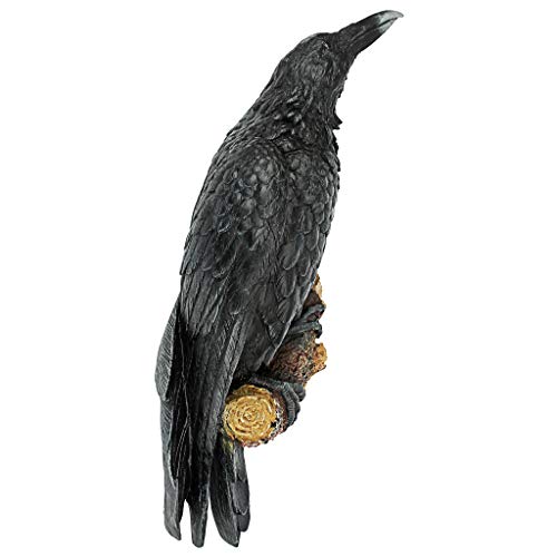Design Toscano The Raven's Perch Gothic Decor Wall Sculpture, Single