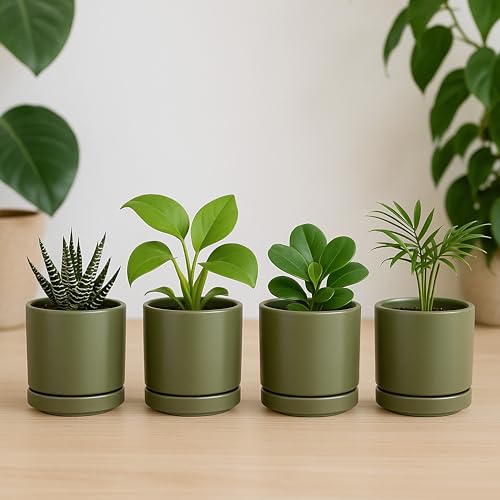 D'vine Dev Set of 4 Small Ceramic Plant Pots, 3.5 Inch Succulent Planter Pot for Plants with Drainage Hole and Saucer, Olive, 94-X-A-0 - color: Olive, size: 3.5 Inch