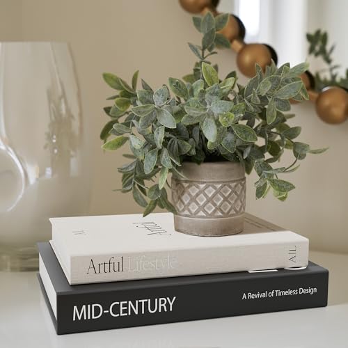 Aesthetic Decorative Books - Set of 2 Stylish Boxes Enhance Your Coffee Table, Bookshelf or Mantel Decor - Beautiful Fake/Faux Books for Modern Home Decoration, Photo Storage and as a Keepsake Box - color: Black-Beige