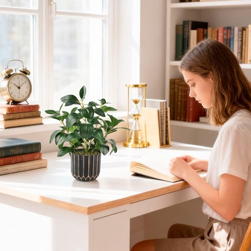 florisso Artificial Succulents with Fig Leaf Greenery in Black & Gold Planter, Fake Succulents Potted Decor for Farmhouse, Bathroom, Bedroom, Kitchen, Office Desk and Coffee Table (Black Gold) - color: Black & Gold Plastic Planter