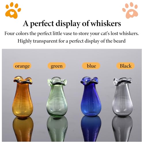 Ymapinc 1.1inch Tiny Cat Whisker Vase Holder, Glass Vase Miniature Decor Dollhouse Garden DIY Succulents, Cute Clear Decoration Jar, Transparent Green Blue Gray Tea - color: Green+blue+gray+brown