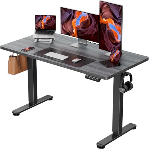 ErGear Height Adjustable Electric Standing Desk, 48 x 24 Inches Sit Stand up Desk, Memory Computer Home Office Desk, Grey - color: Grey, size: 47.2 x 23.6 Inches