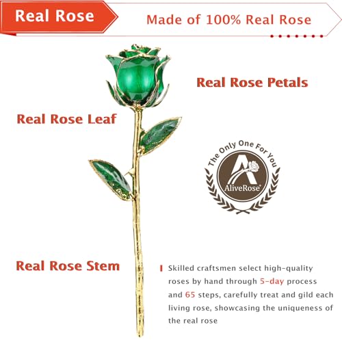 AliveRose 24k Gold Dipped Rose, Gold Rose Made from Real Rose - Unique Design 24K Dipped Rose for Anniversary Valentines Mothers Day Birthday Gifts (Green Original with Crystal Vase) - color: 3. Green Original Rose With Crystal Vase
